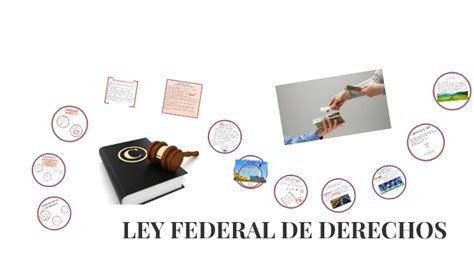 ley federal de derechos